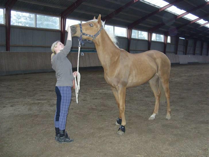 Palomino  | Tania Bambini - SOLGT - 14: Tania <3 billede 14