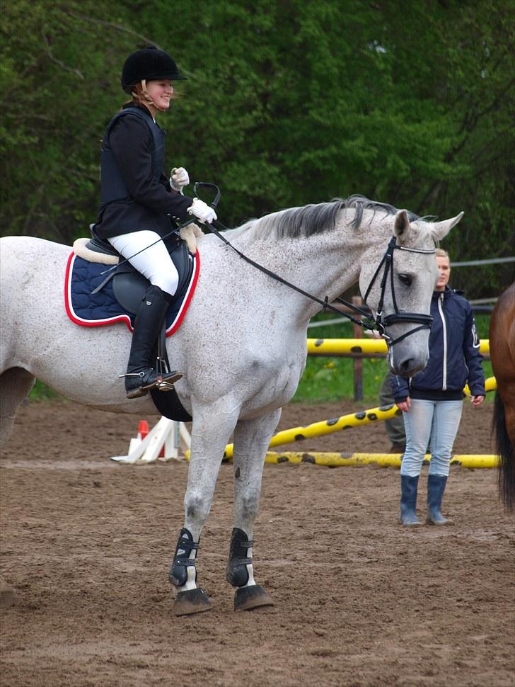 Holstener CORVARA 7  - Tina Nielsen. billede 5