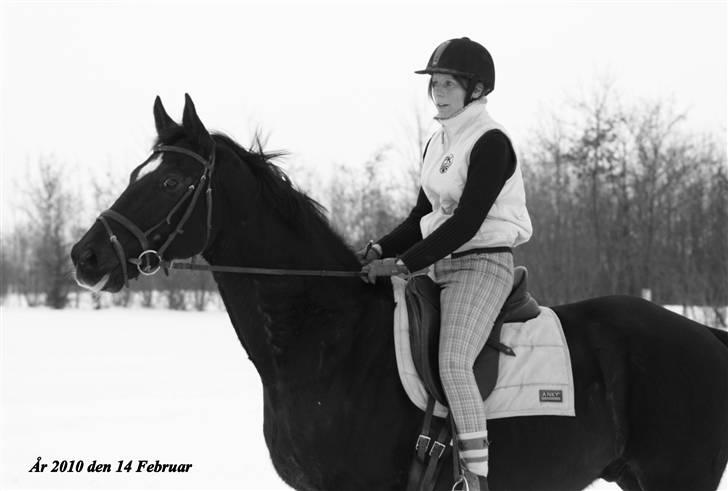 Dansk Varmblod Picoeur - Picoeur og Mor<3 Foto: Mig billede 19