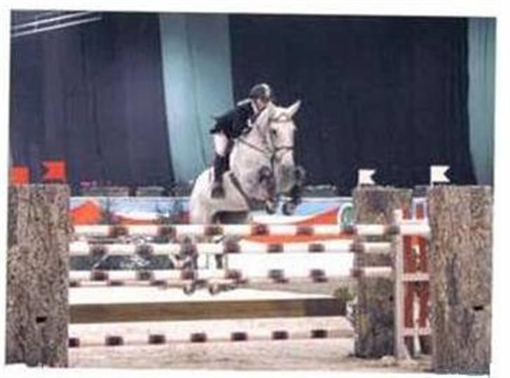 Holstener CORVARA 7  - I Aachen billede 9