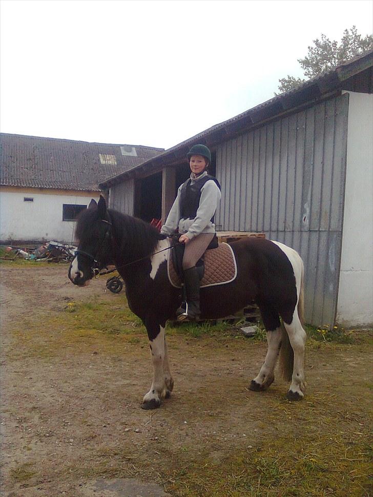 Barockpinto Aranka* RIP* billede 10