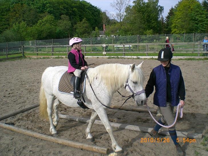 Anden særlig race Ragna billede 1