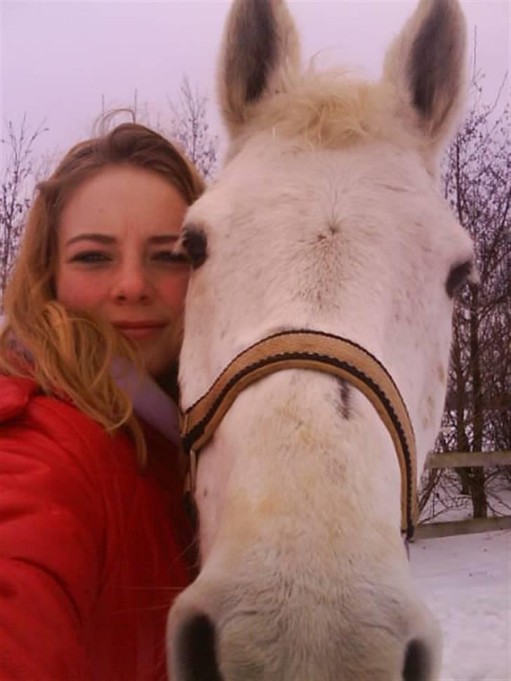 DSP Ditte<3 solgt og savnet<3 - øhh. hva laver du`? billede 1