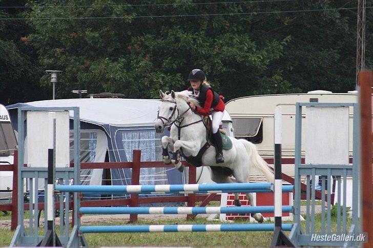 DSP Ditte<3 solgt og savnet<3 billede 5