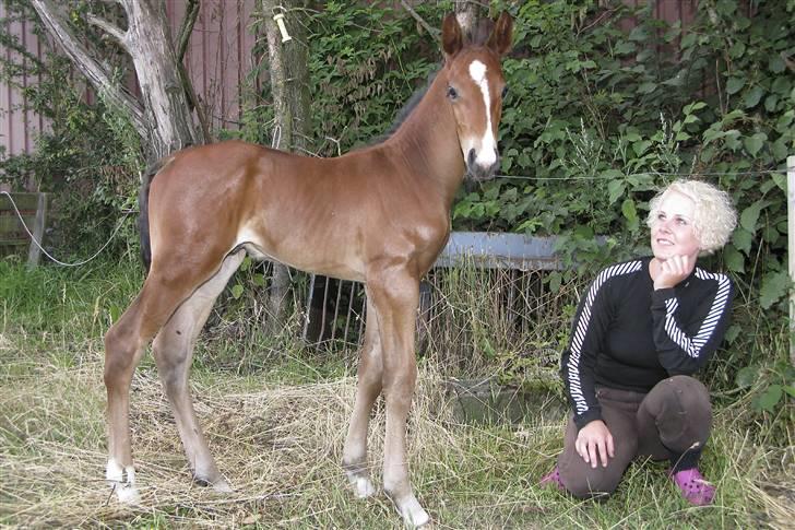 Frederiksborg Pilgrim billede 1