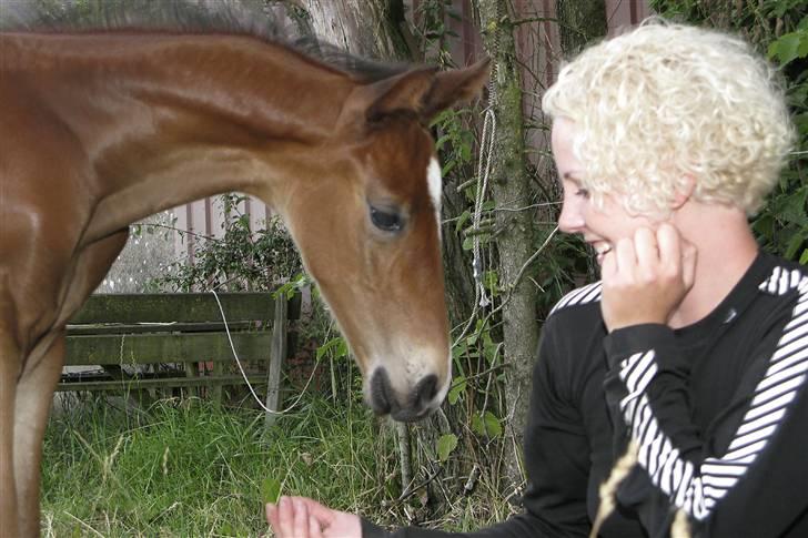 Frederiksborg Pilgrim billede 2