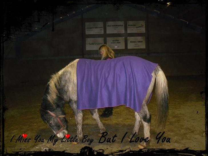 Anden særlig race Salt&Peber.. SOLGT  - I Miss You But I Love You billede 18