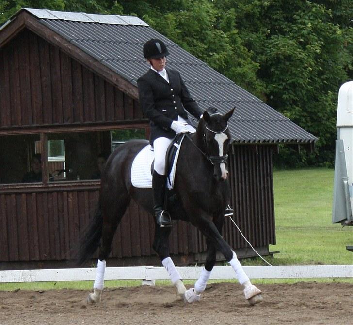 Dansk Varmblod Antino - stævne 19/6 La1 billede 9