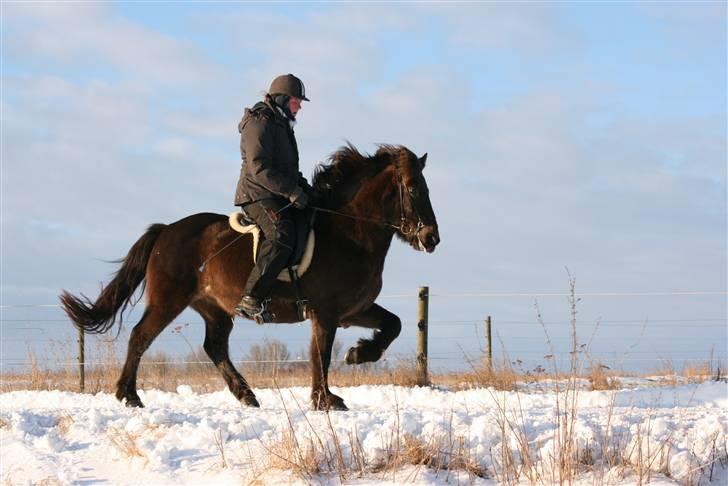 Islænder valva fra ulfsstödum billede 14