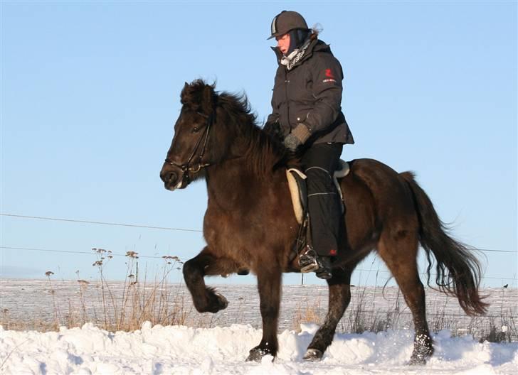Islænder valva fra ulfsstödum billede 16