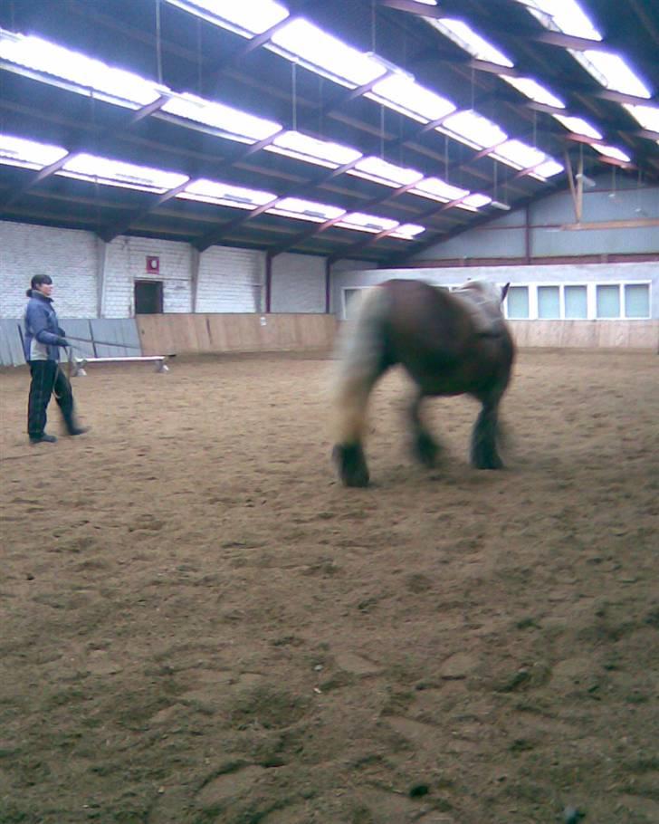 Jyde Dawn Af Aggersgård RIP -  marst 20101. Tilridningen på egtved rideklub billede 9