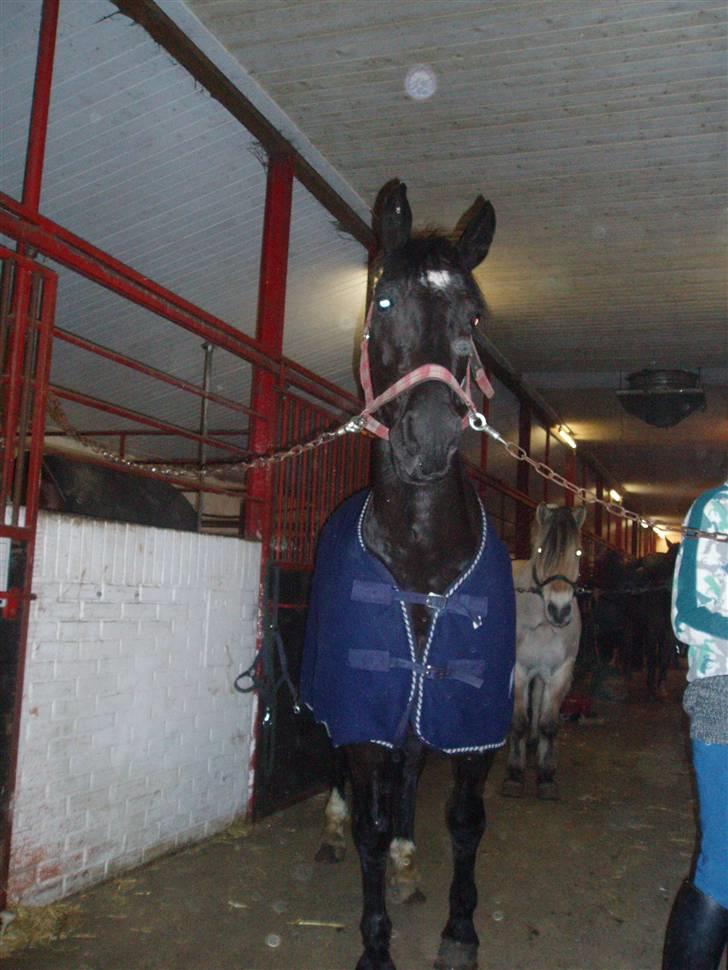 Oldenborg Dumle billede 19