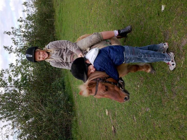 Shetlænder alberto(=*berto*<33 - miin lille bror prøver at trække mig foto:mor billede 4