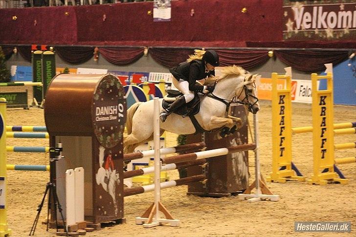 Palomino - Silver (B-PONY) [Tidl. hest] - 8) billede 8