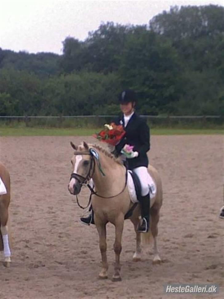 Palomino - Silver (B-PONY) [Tidl. hest] - 9) billede 9
