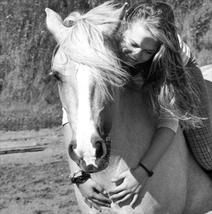 Palomino - Silver (B-PONY) [Tidl. hest] - 4) billede 4