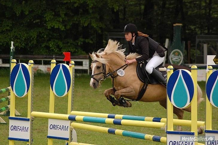 Palomino - Silver (B-PONY) [Tidl. hest] - 16) billede 16