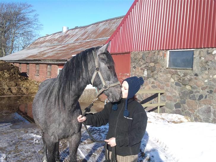 Anden særlig race Stald Magnas Momo Zon billede 16