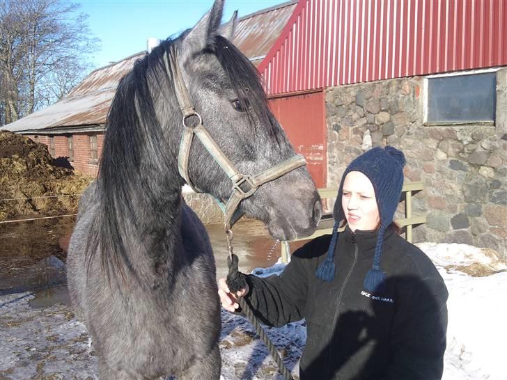 Anden særlig race Stald Magnas Momo Zon - Næsten 2 år.. Er han ikk bliven stor.. :D billede 17