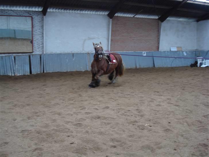 Jyde Dawn Af Aggersgård RIP - man kommer til at svede af alt det her traven..... billede 12