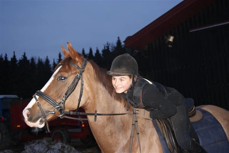 DSP Sejerø's Jackie TIDL PONY - I LOVE YOU! <3 |FOTO Cecilie Terp| billede 3