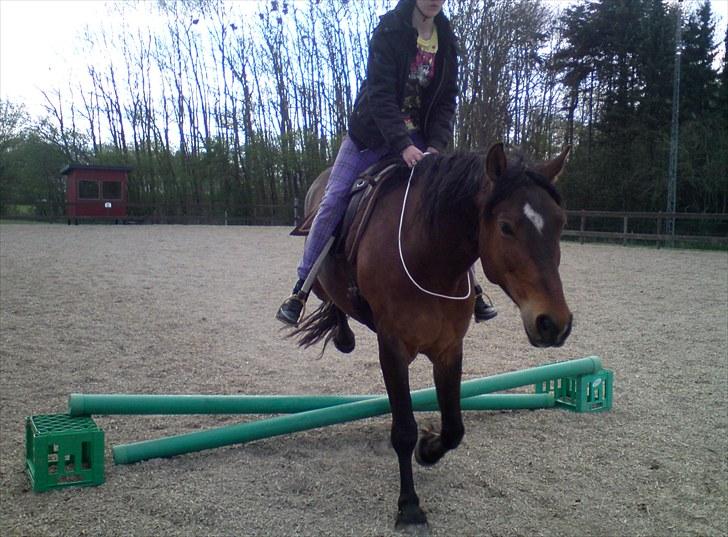 Anden særlig race Ferdinan billede 11