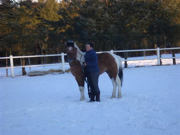 Anden særlig race Topper (SOLGT) billede 9