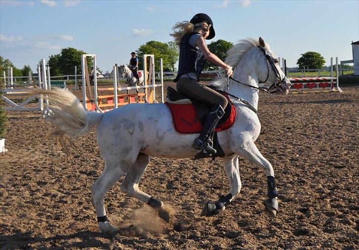 Knabstrupper Zeba, min bedste ven :* - Mig og smukke Zeba Igang med et galop anspring ;D  - Foto: Isabella Larsen* billede 2