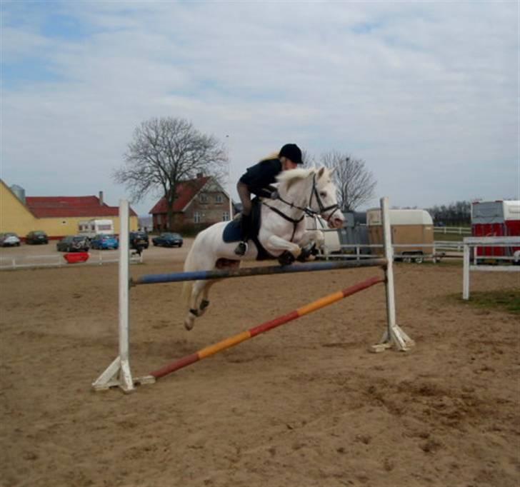 Knabstrupper Zeba, min bedste ven :* - Zeba pigen ;D - *3 marts 2010 - Foto:Daniel* billede 3