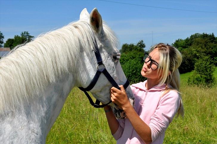 Knabstrupper Zeba, min bedste ven :* - Hygge på folden ;D  - Foto: Isabella Larsen* billede 4