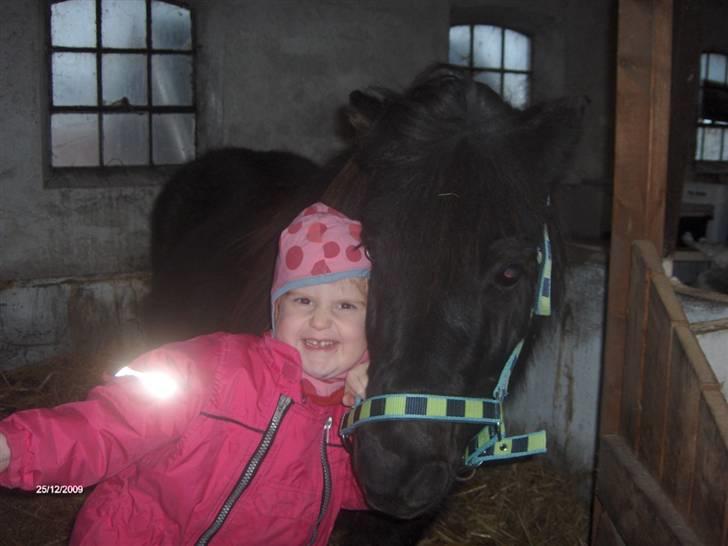 Anden særlig race Scoot billede 7