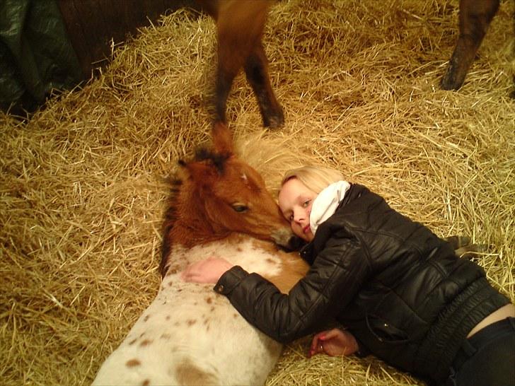 Anden særlig race Golden Simba Spot - Mig og Simba der ligger og sover i boksen:) billede 1