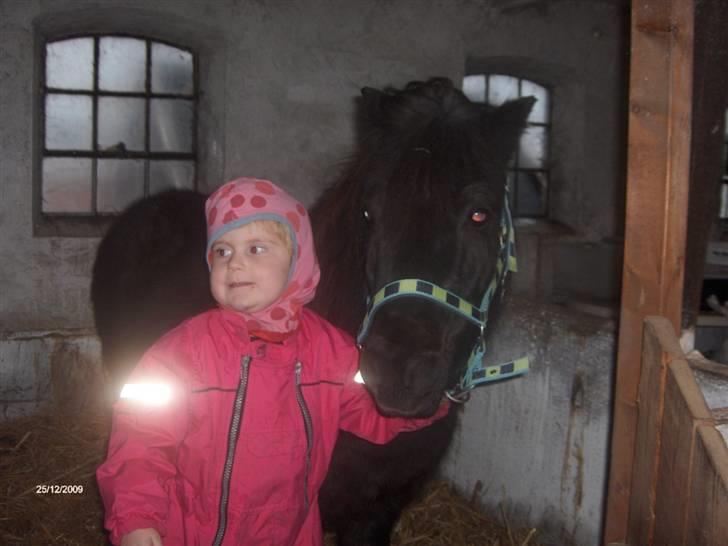 Anden særlig race Scoot billede 8