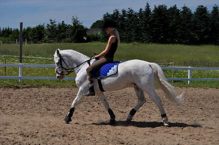 Knabstrupper Zeba, min bedste ven :* - *Foto: Isabella Larsen* billede 10