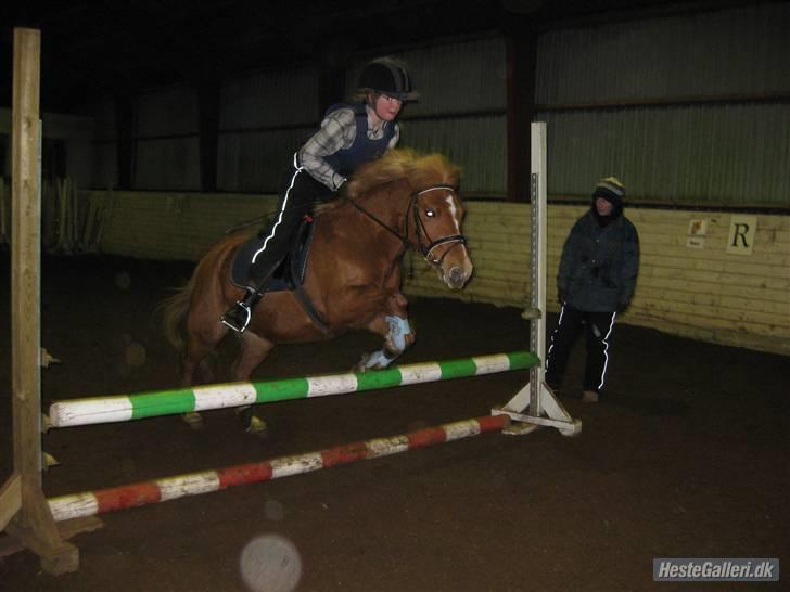 Anden særlig race Rosa* Linda h's * - Her springer Rosa & jeg ca. 40 :) du er dygtig tyksak :) billede 18