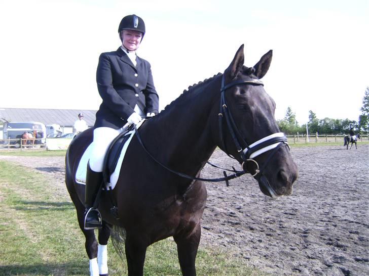 Dansk Varmblod Black Beauty (tidligere hest) billede 4