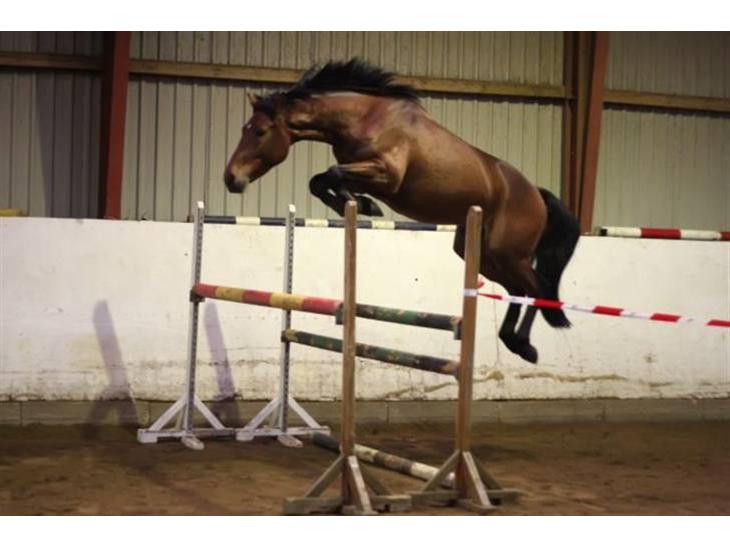 {{currentPhoto.altText}} billede {{currentPhoto.number}}