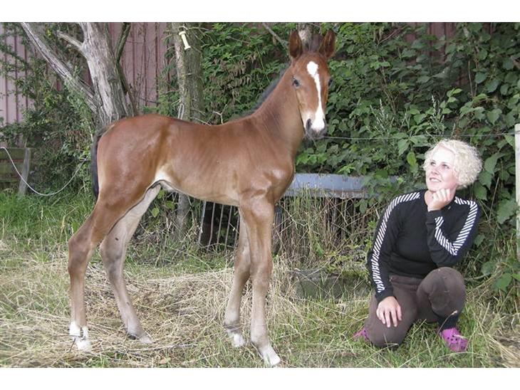 {{currentPhoto.altText}} billede {{currentPhoto.number}}