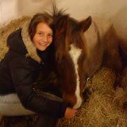 New Forest freedom.<3 *RIP* savnet! <3 <3