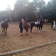 New Forest freedom.<3 *RIP* savnet! <3 <3