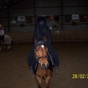 Anden særlig race Bella Donna