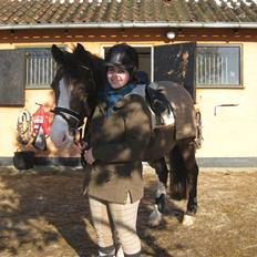 Irsk Sportspony Score Kaj