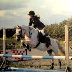 Anden særlig race Miranda