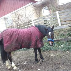 Anden særlig race Fleur<3 [Tidl. part ;( ]