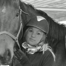 Dansk Varmblod Santiana - SOLGT!