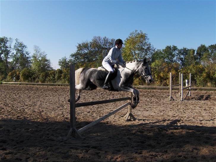 Pinto Pepsi billede 13