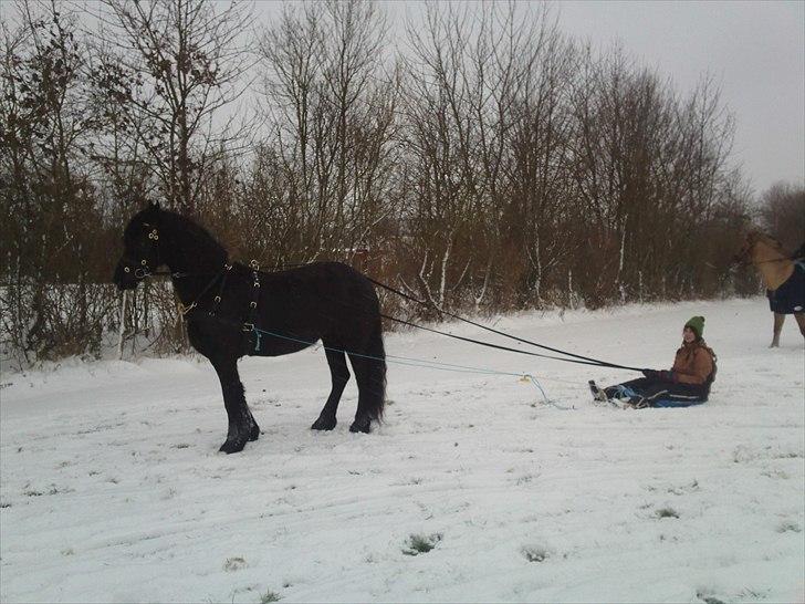 Frieser Valesca Van De Oostwal billede 20