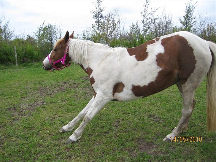 Anden særlig race Tango Lady. - Du Mit Liv!<3 DU ER PERFEKT!<3 billede 12