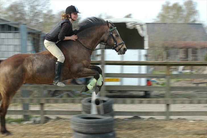Connemara Robin - spring uden sadel :D Foto: Frida Lilli billede 5