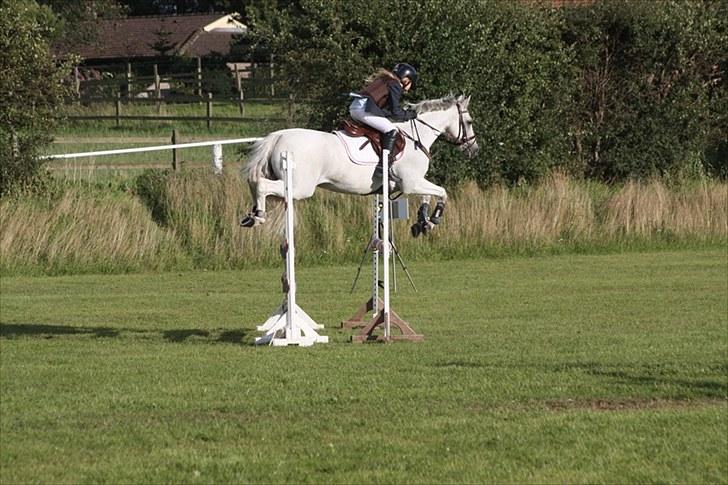 Anden særlig race Willow Lord - SLANGERUP LYNGE 28.8.2010 billede 6